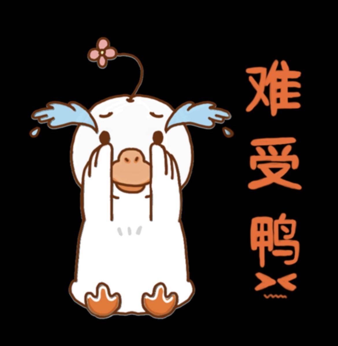 伊人 （房东直租）