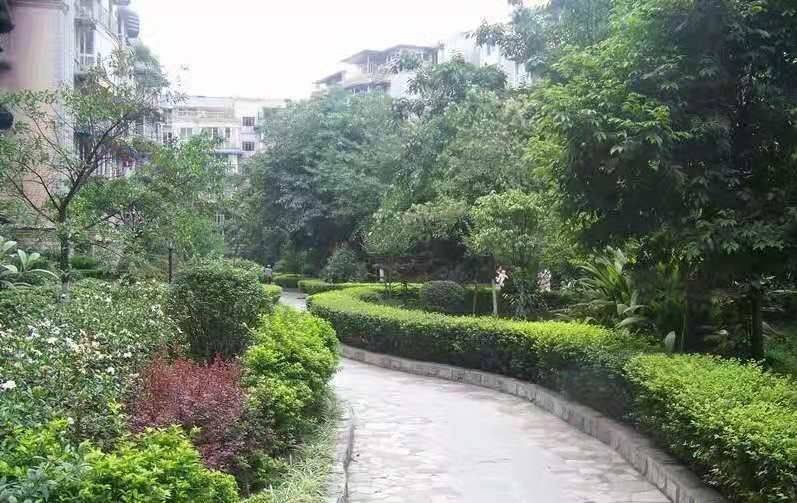 成都 金牛 | 聚贤半岛花苑_6