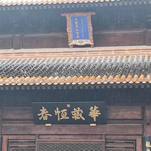 南女士