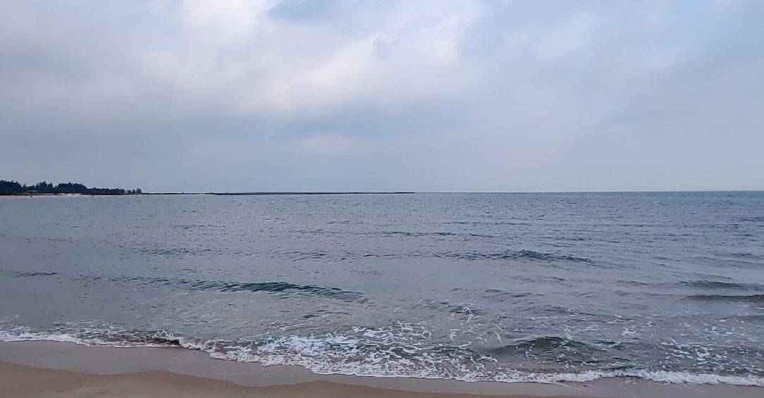 吴小龙