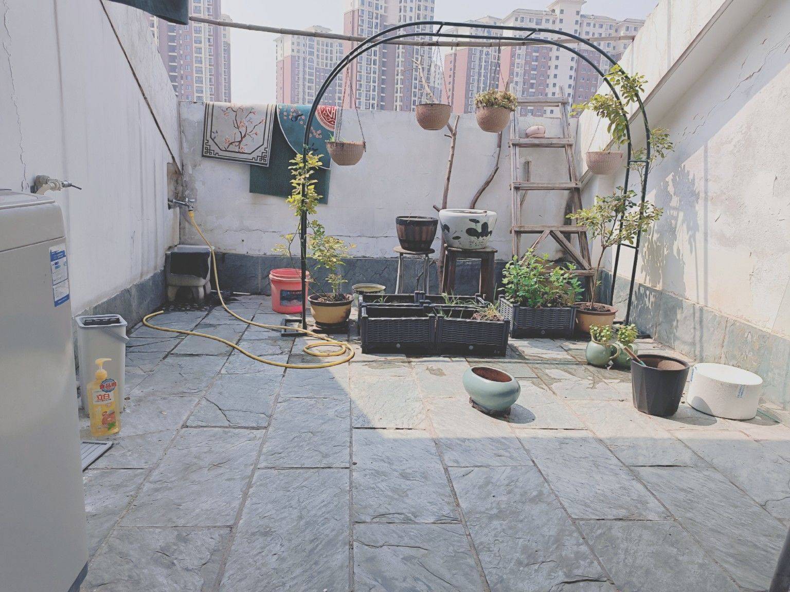Wuhan-Huangpi-Cozy Home,Clean&Comfy,No Gender Limit,Hustle & Bustle,“Friends”,Chilled,Pet Friendly