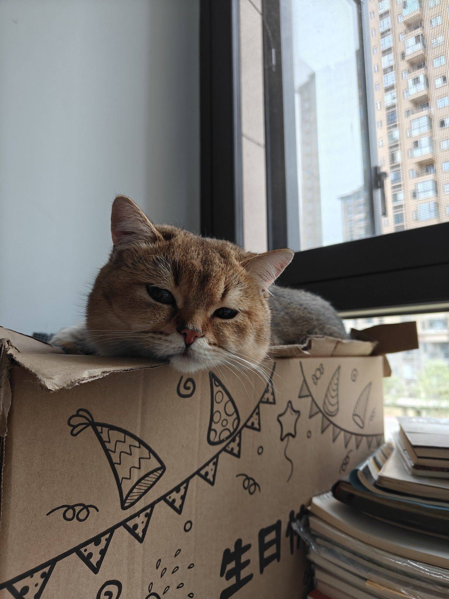 斯马特