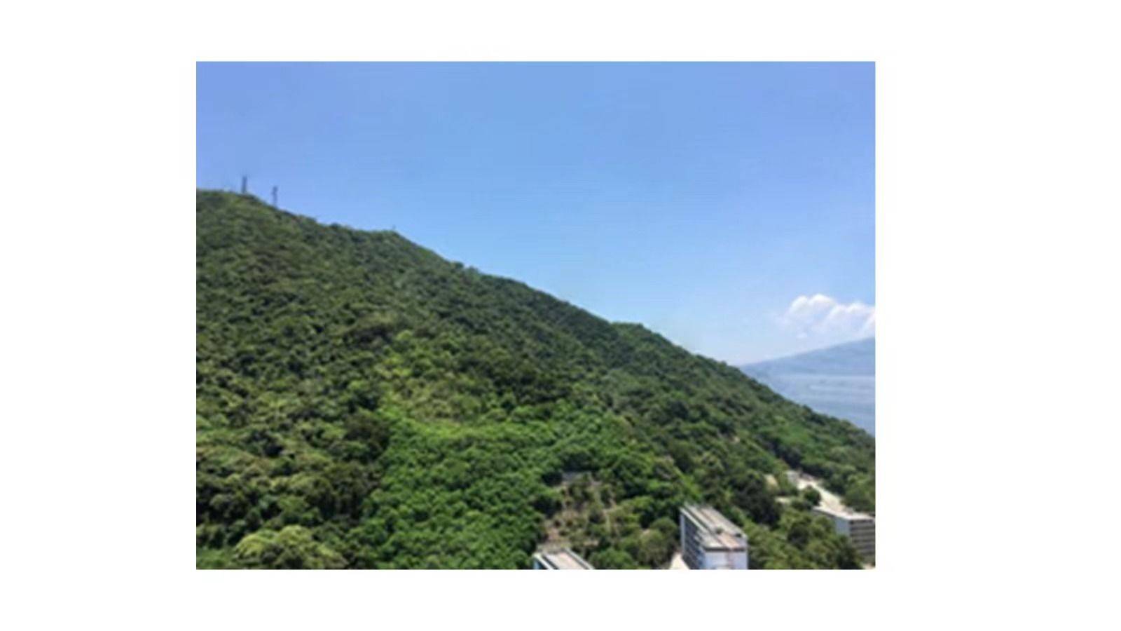 Hong Kong-Hong Kong Island-Long Term,Pet Friendly