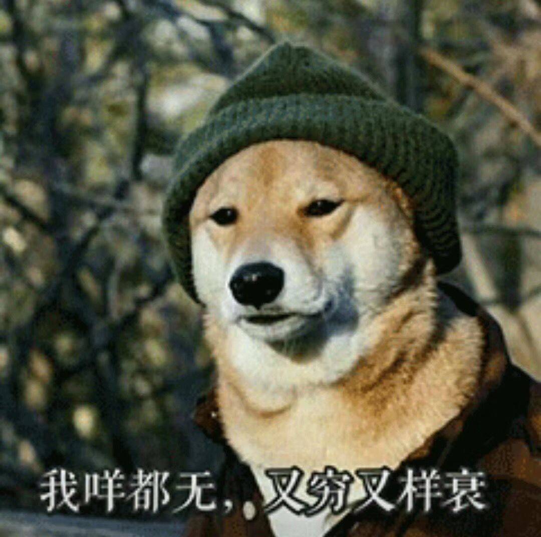 lzlzlz