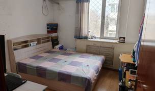 Beijing-Haidian-Cozy Home,Clean&Comfy,No Gender Limit,Hustle & Bustle,Chilled