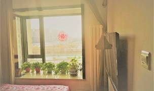 Beijing-Chaoyang-👯‍♀️,Shared Apartment,Seeking Flatmate,LGBTQ Friendly