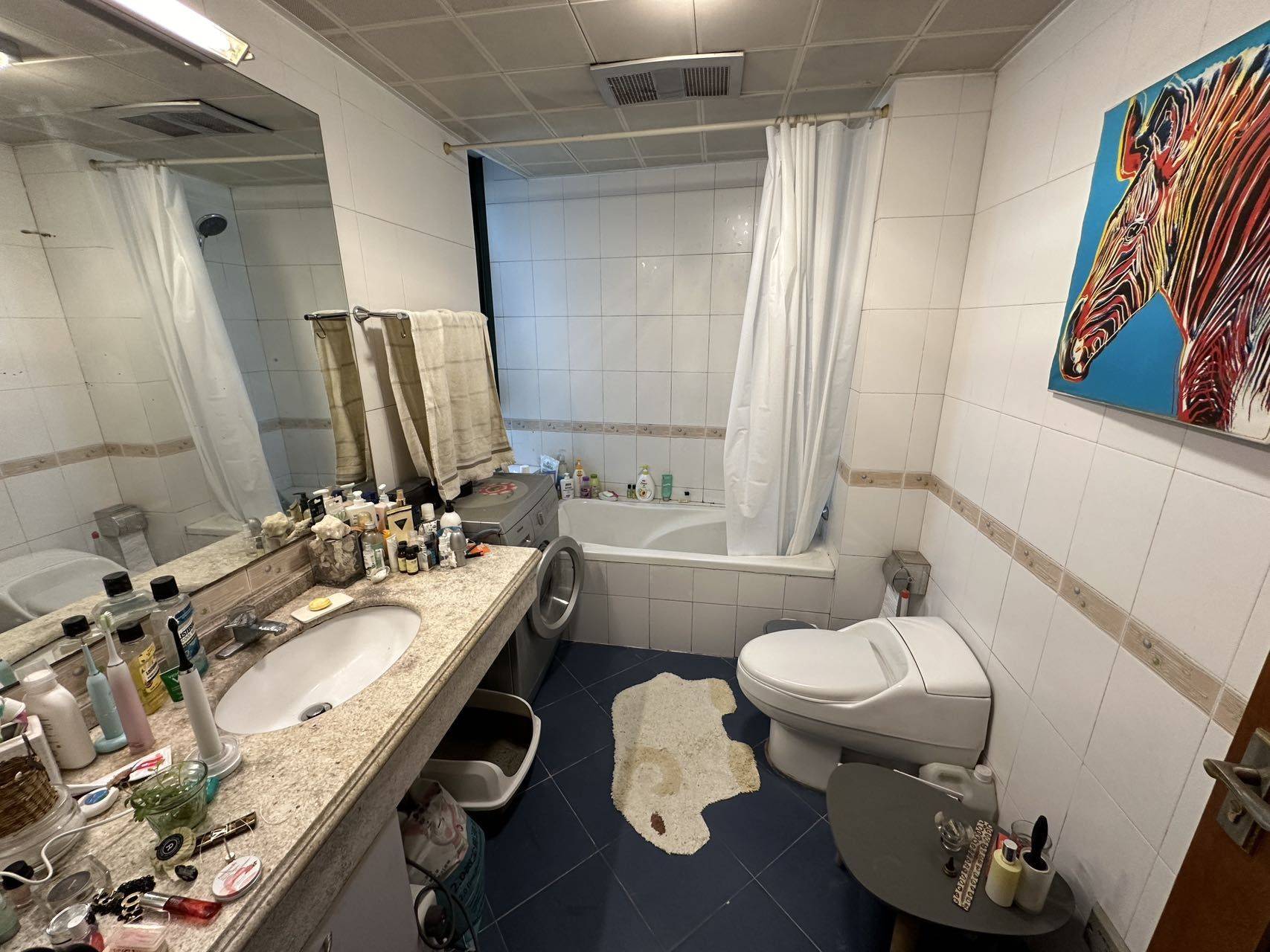 Shanghai-Xuhui-Cozy Home,Clean&Comfy,Pet Friendly