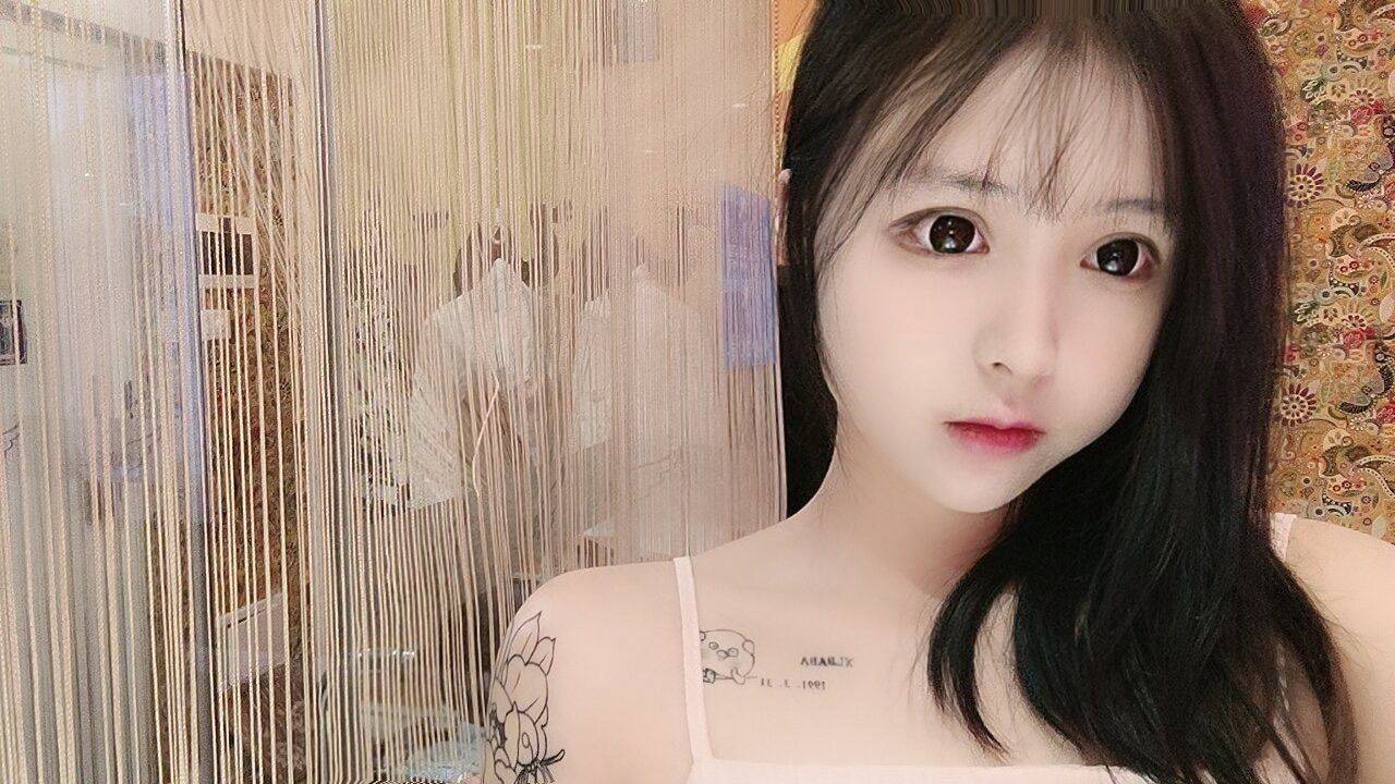猪🐷 猪