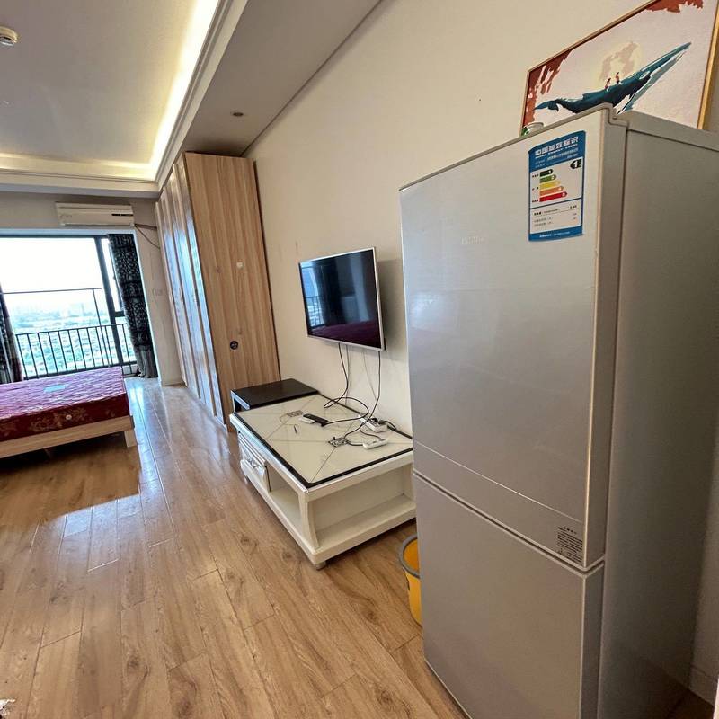 Chengdu-Gaoxin-Cozy Home,Clean&Comfy,No Gender Limit,Chilled,Pet Friendly