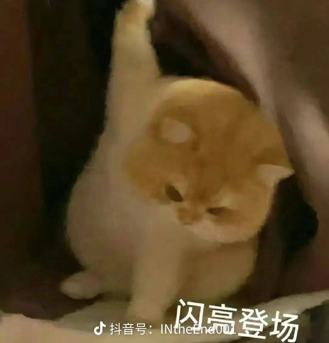 王倾