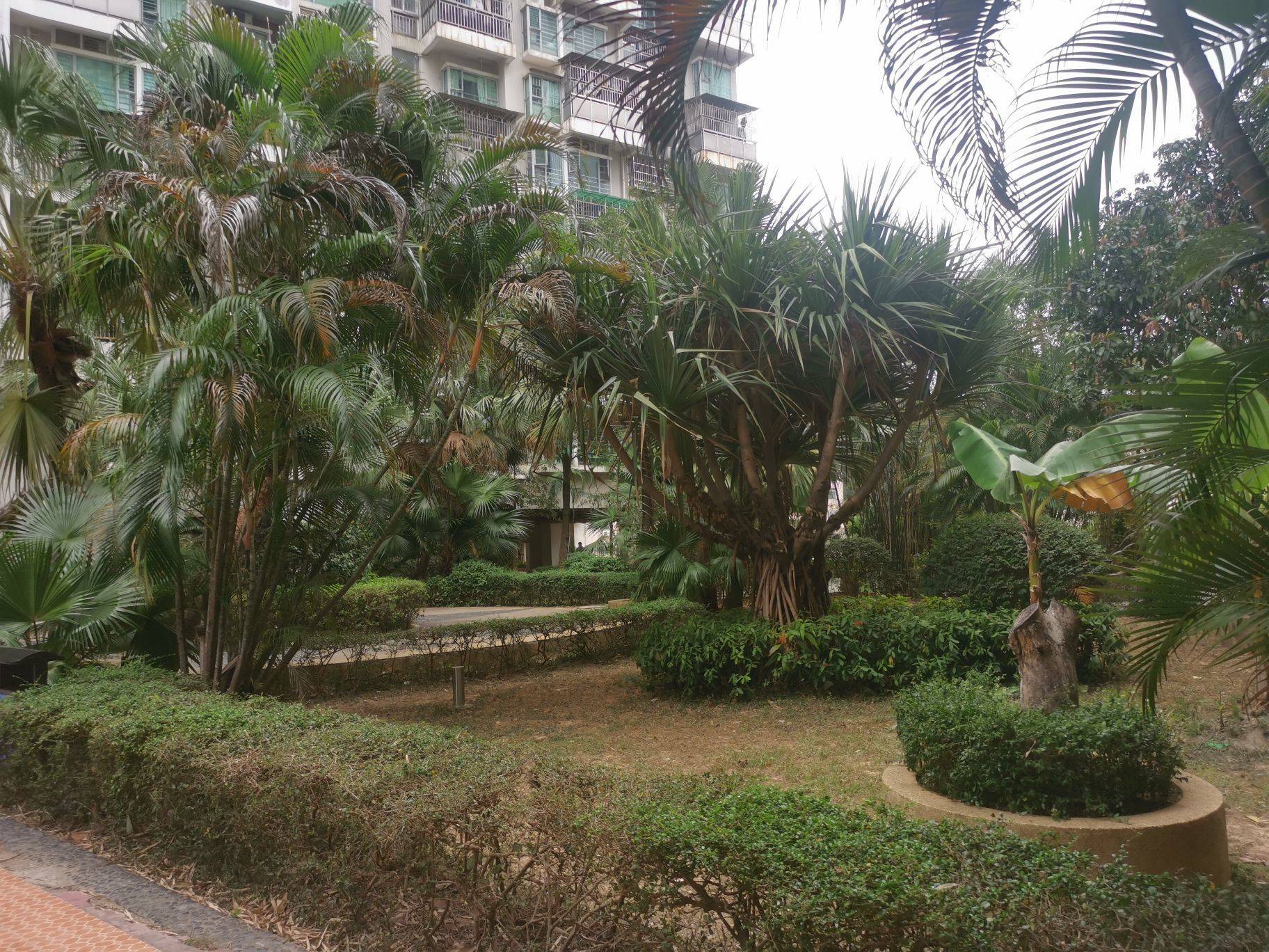 Shenzhen-Longgang-Cozy Home,Clean&Comfy