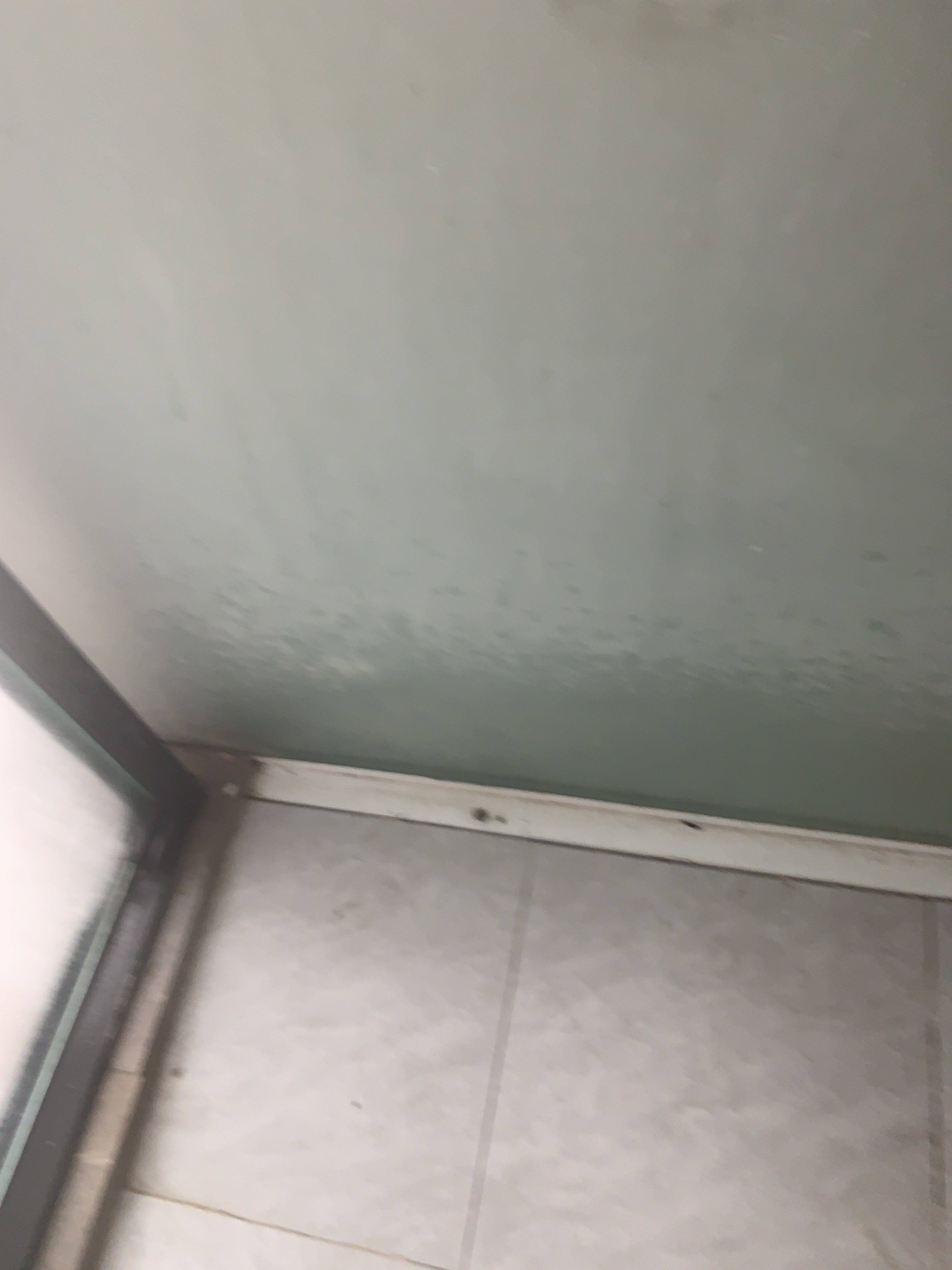 鲁