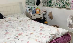 Xiamen-Siming-Cozy Home,Clean&Comfy,No Gender Limit,Chilled