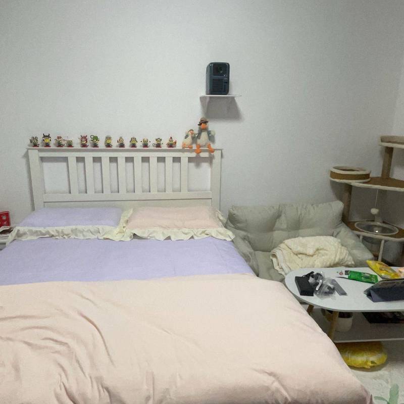 Shanghai-Baoshan-Cozy Home,Clean&Comfy,No Gender Limit,Pet Friendly