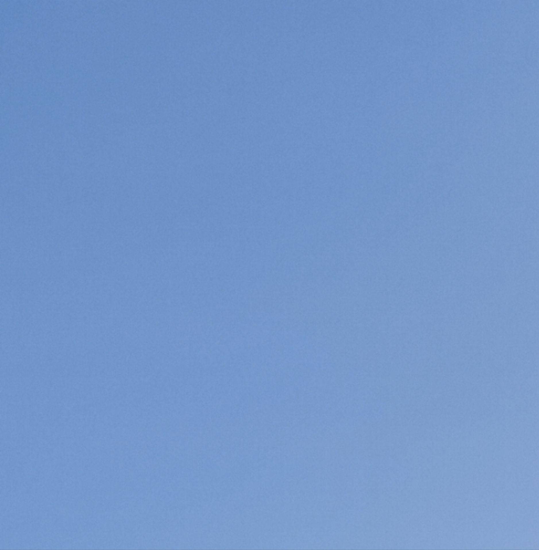 天天天