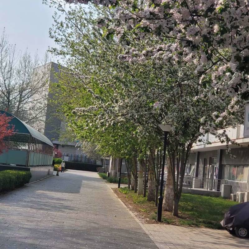 Beijing-Haidian-Cozy Home,Clean&Comfy,No Gender Limit,Chilled