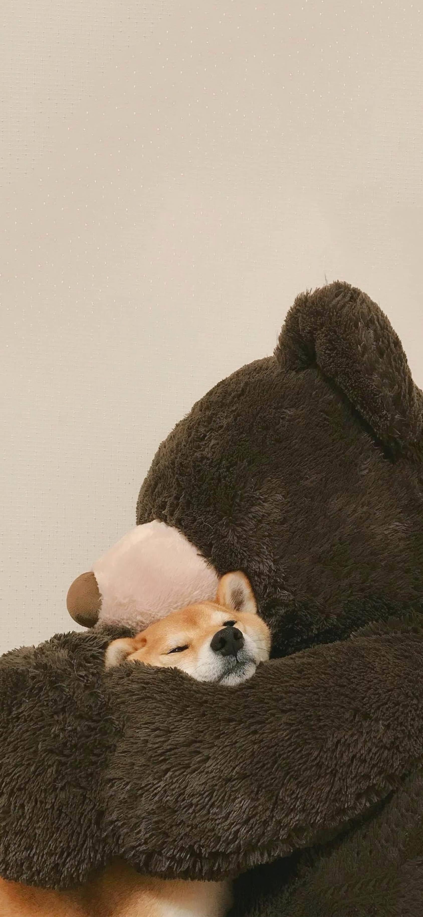 谢宅森谷