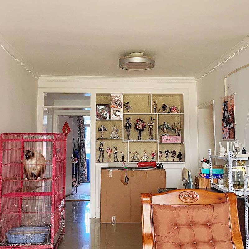 Xiamen-Siming-Cozy Home,Clean&Comfy,No Gender Limit,Hustle & Bustle,Pet Friendly