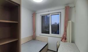 北京-海淀-Shared apartment,Single apartment