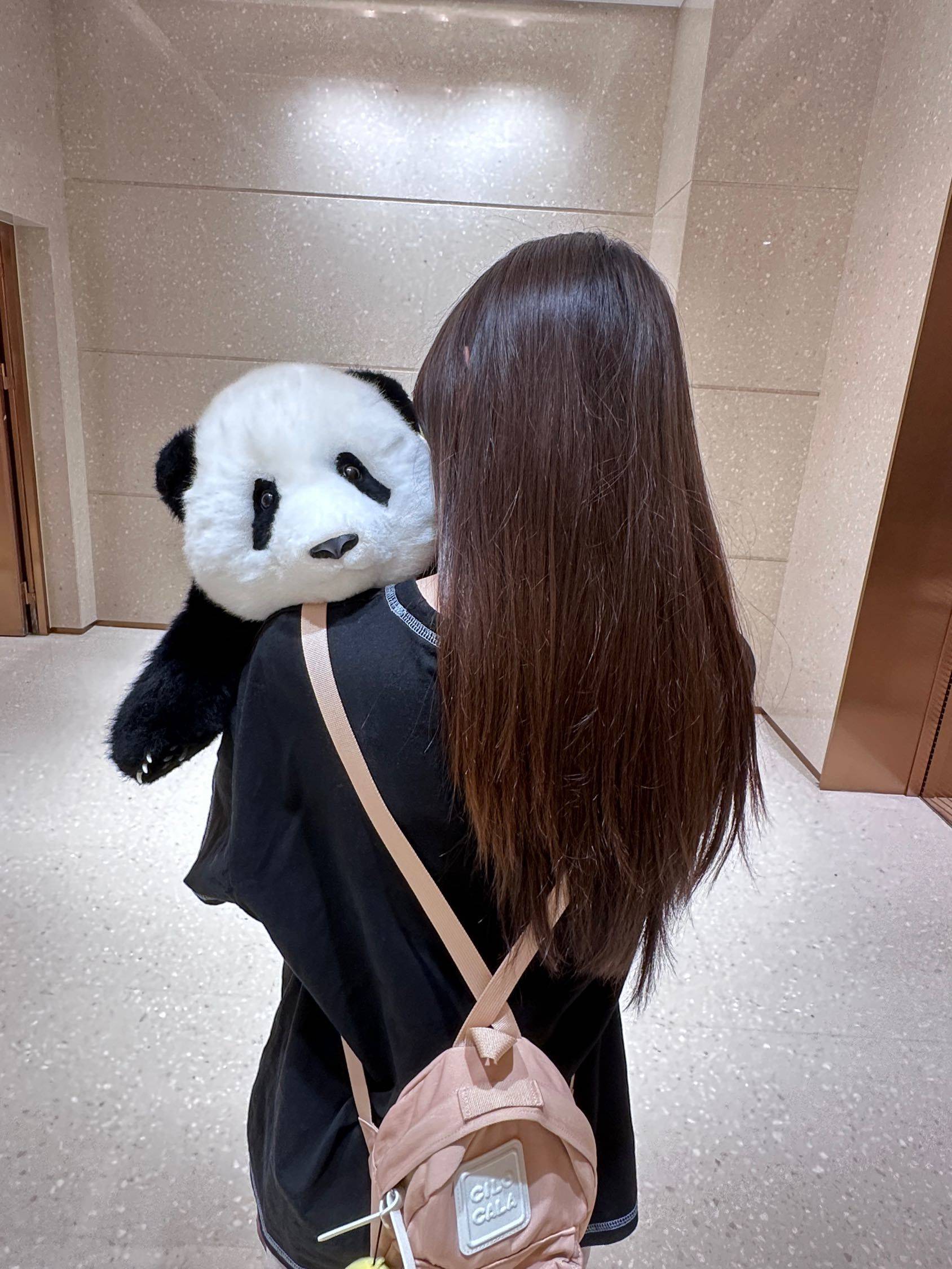 罗洛洛