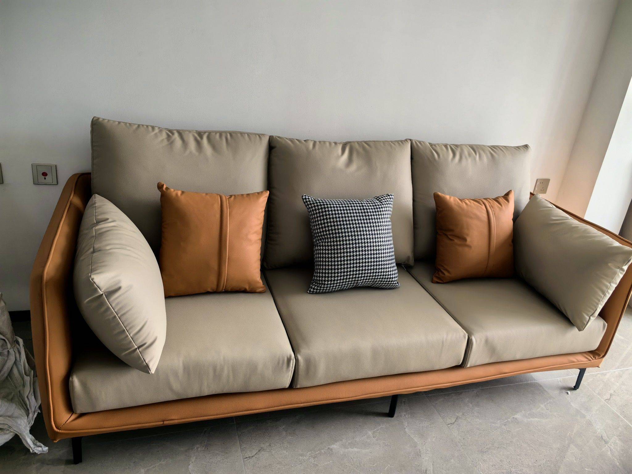 Shenzhen-BaoAn-Pet Friendly
