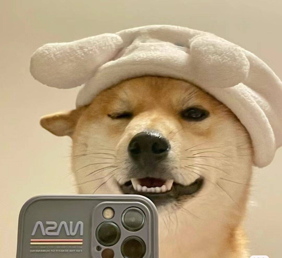 圈圈点点