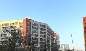 深圳-南山-拎包入住,長租,長&短租,獨立公寓,LGBTQ友好