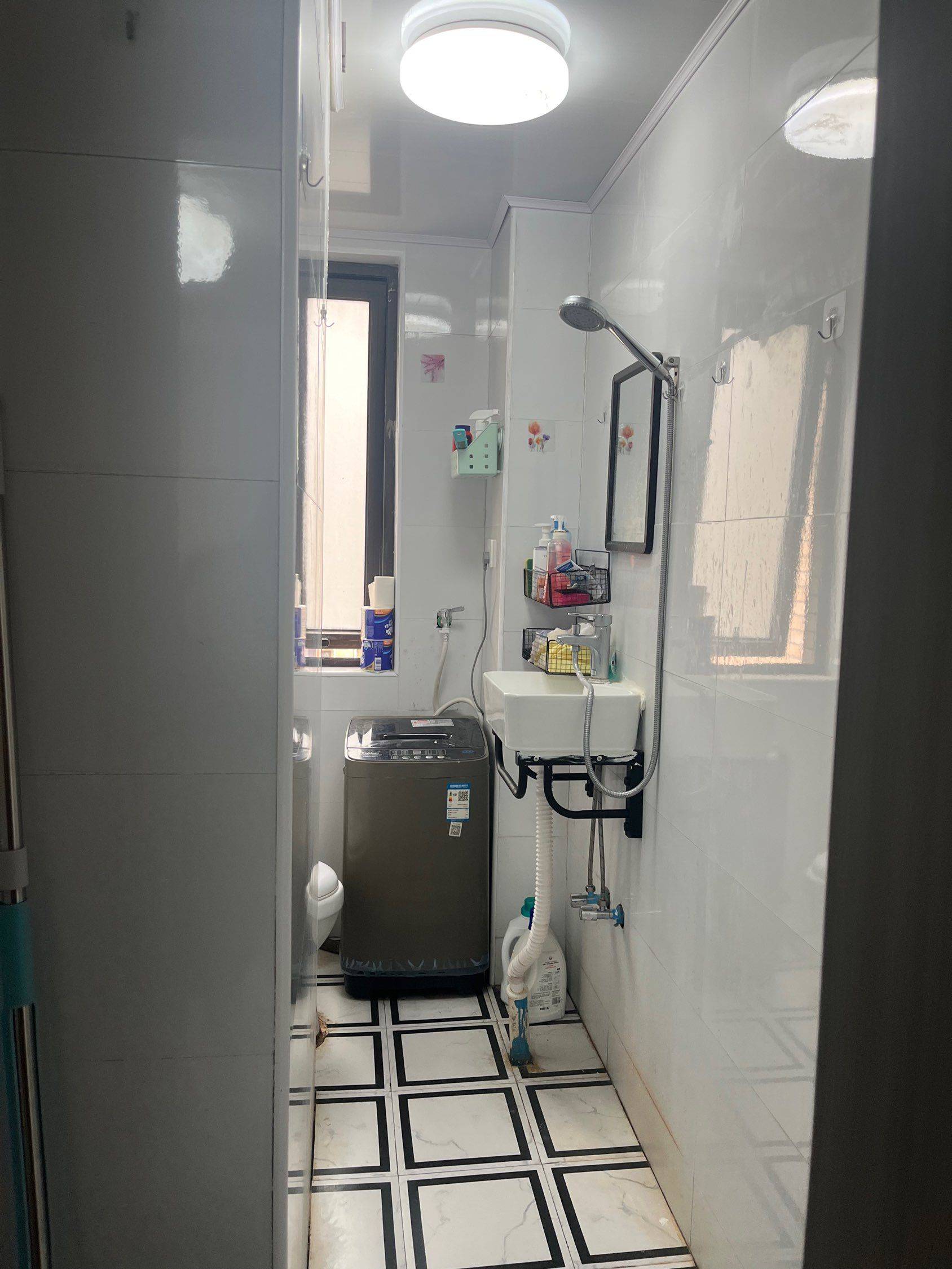 上海-浦东-温馨小窝,干净治愈,不限性别,宠物友好