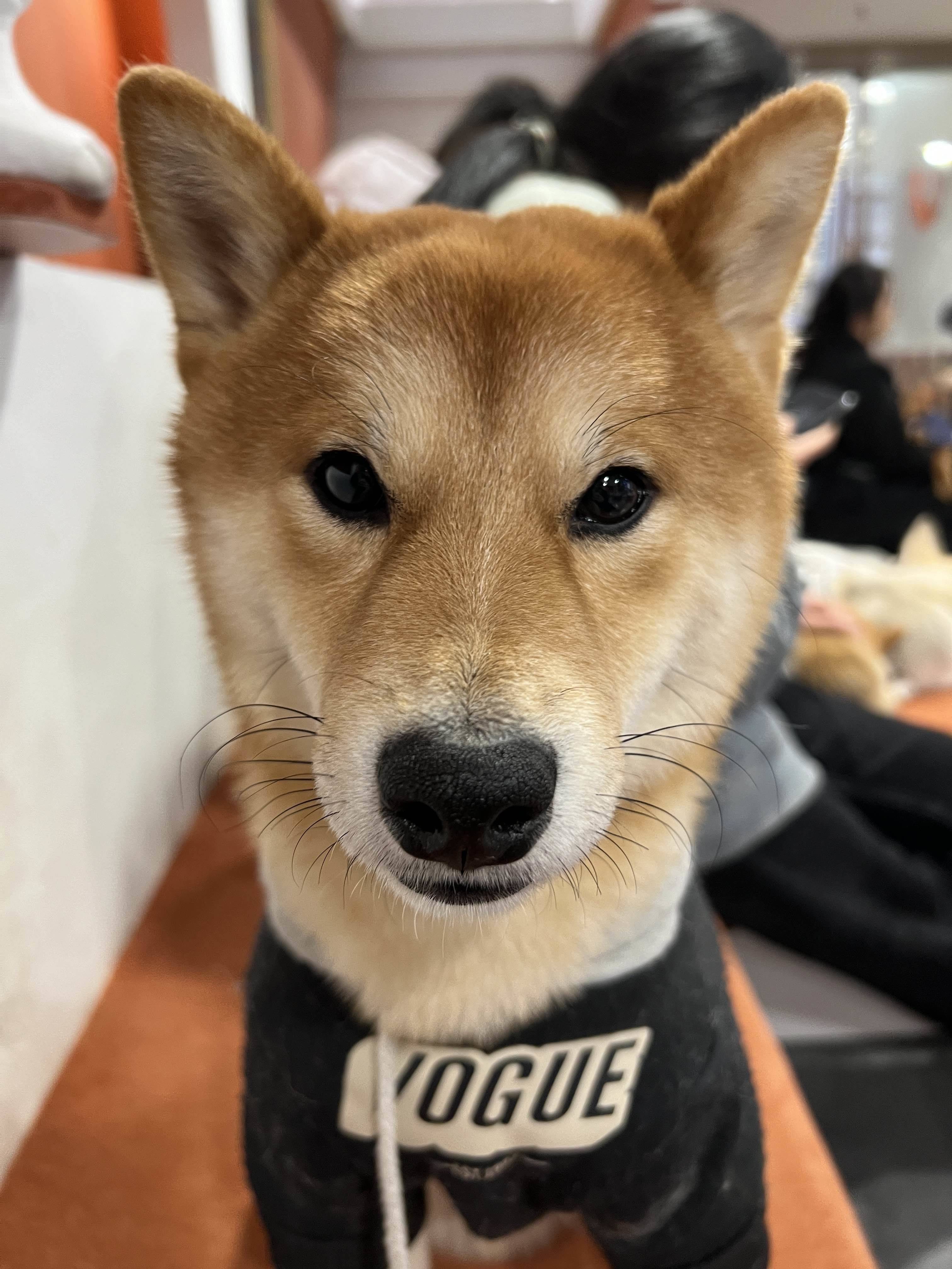 废话大王