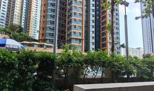 Hong Kong-Kowloon-🏠,Single Apartment,Long & Short Term