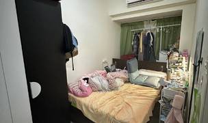 Hong Kong-New Territories-Cozy Home,Clean&Comfy,No Gender Limit,Hustle & Bustle,Pet Friendly