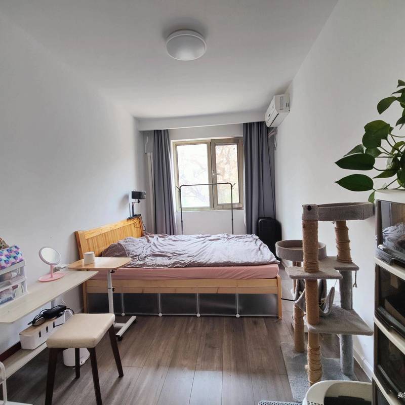 Beijing-Chaoyang-女性友好,Pet Friendly,Cozy Home,Clean&Comfy,“Friends”,Chilled