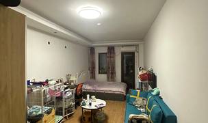 Chengdu-Pidu-Cozy Home,Clean&Comfy,No Gender Limit,Hustle & Bustle,“Friends”,Chilled,LGBTQ Friendly