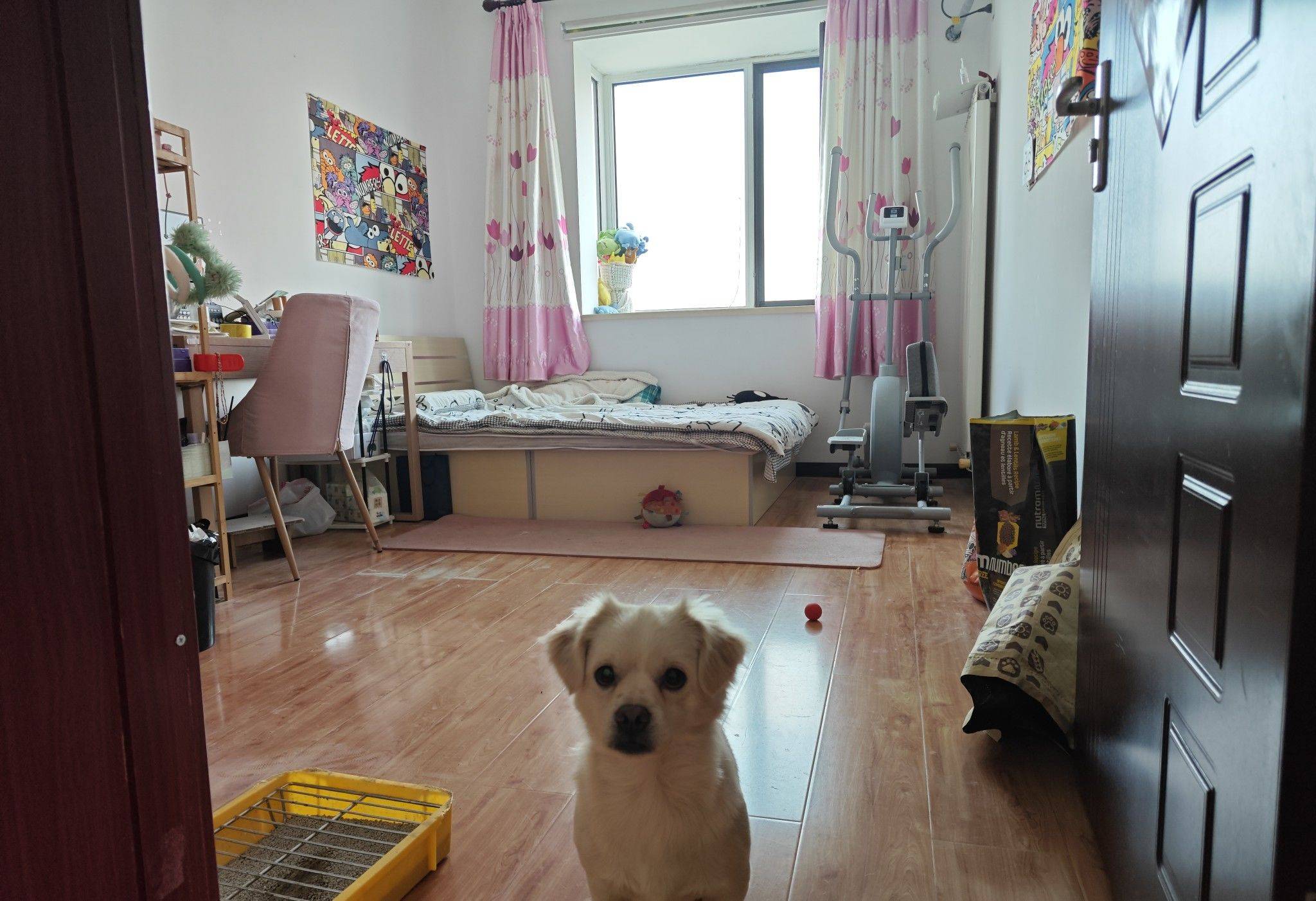 Tianjin-Hedong-Cozy Home,Clean&Comfy,No Gender Limit,Hustle & Bustle