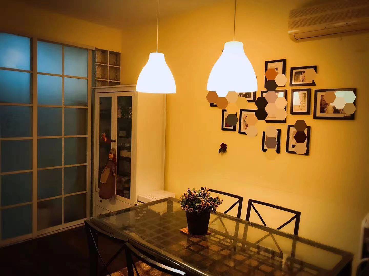 Shanghai-Pudong-Cozy Home,Clean&Comfy,No Gender Limit,Pet Friendly