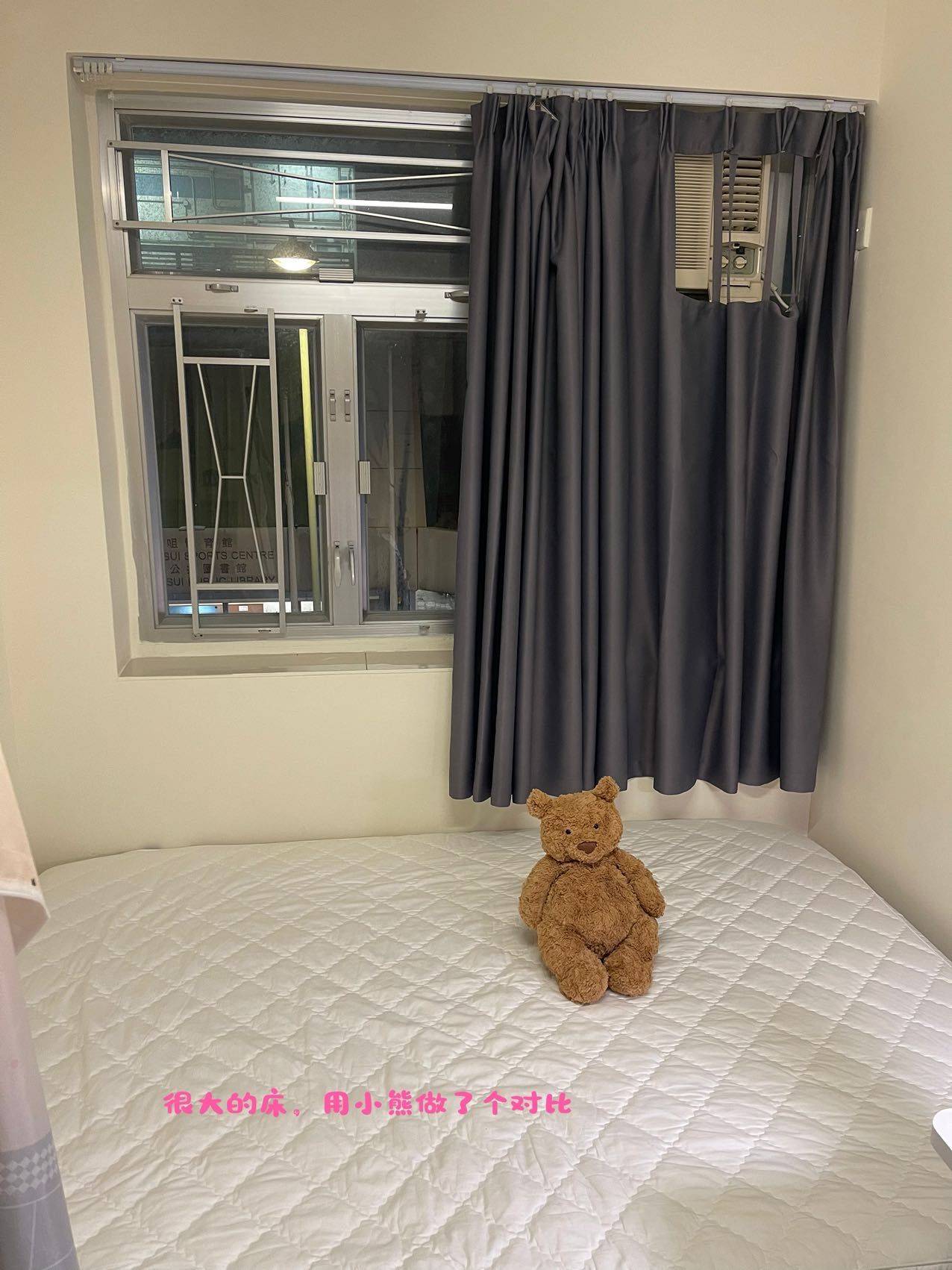 Hong Kong-Hong Kong Island-Cozy Home,Clean&Comfy,No Gender Limit,Pet Friendly