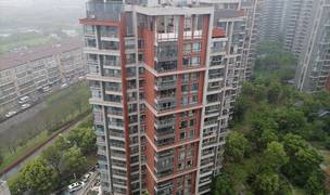 武汉-洪山-獨立公寓,轉租,短租,搬離,寵物友好