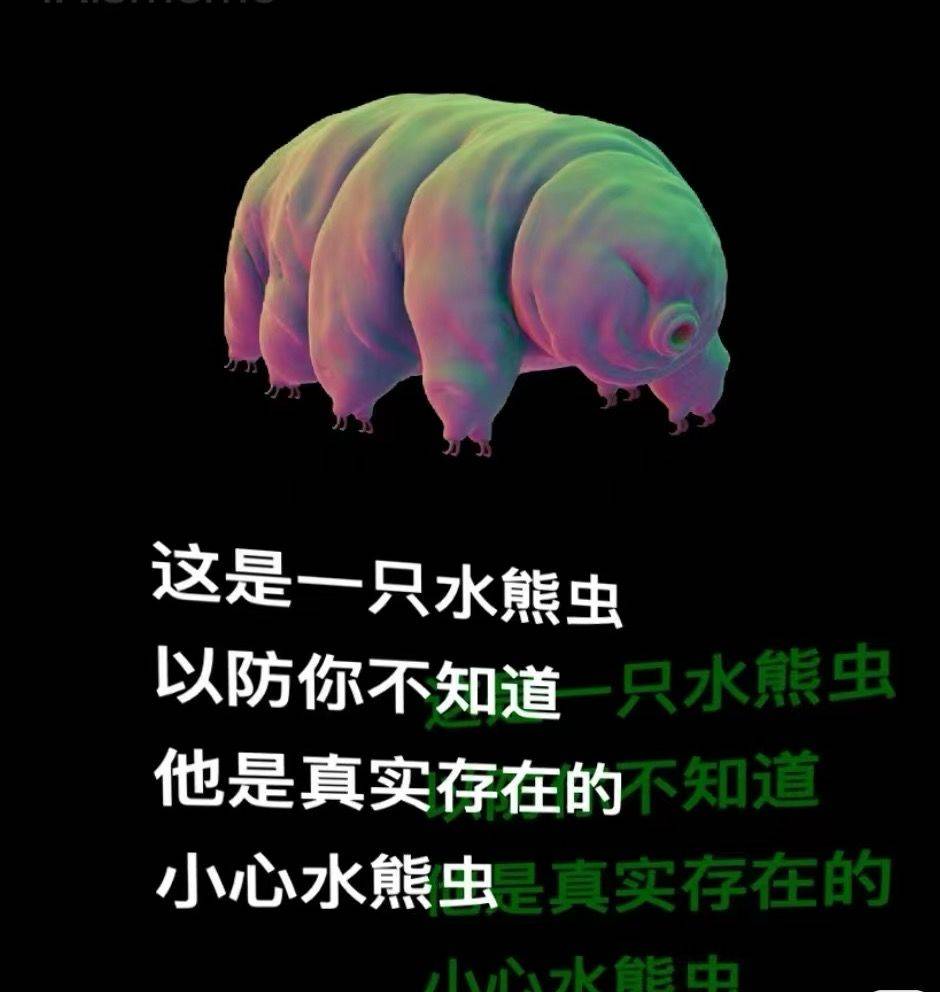 正方形的七色花