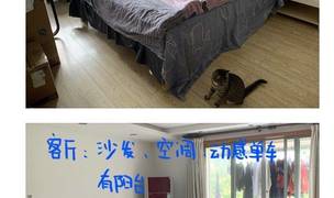 Nanjing-Jiangning-Long & Short Term,Sublet,Single Apartment,Pet Friendly