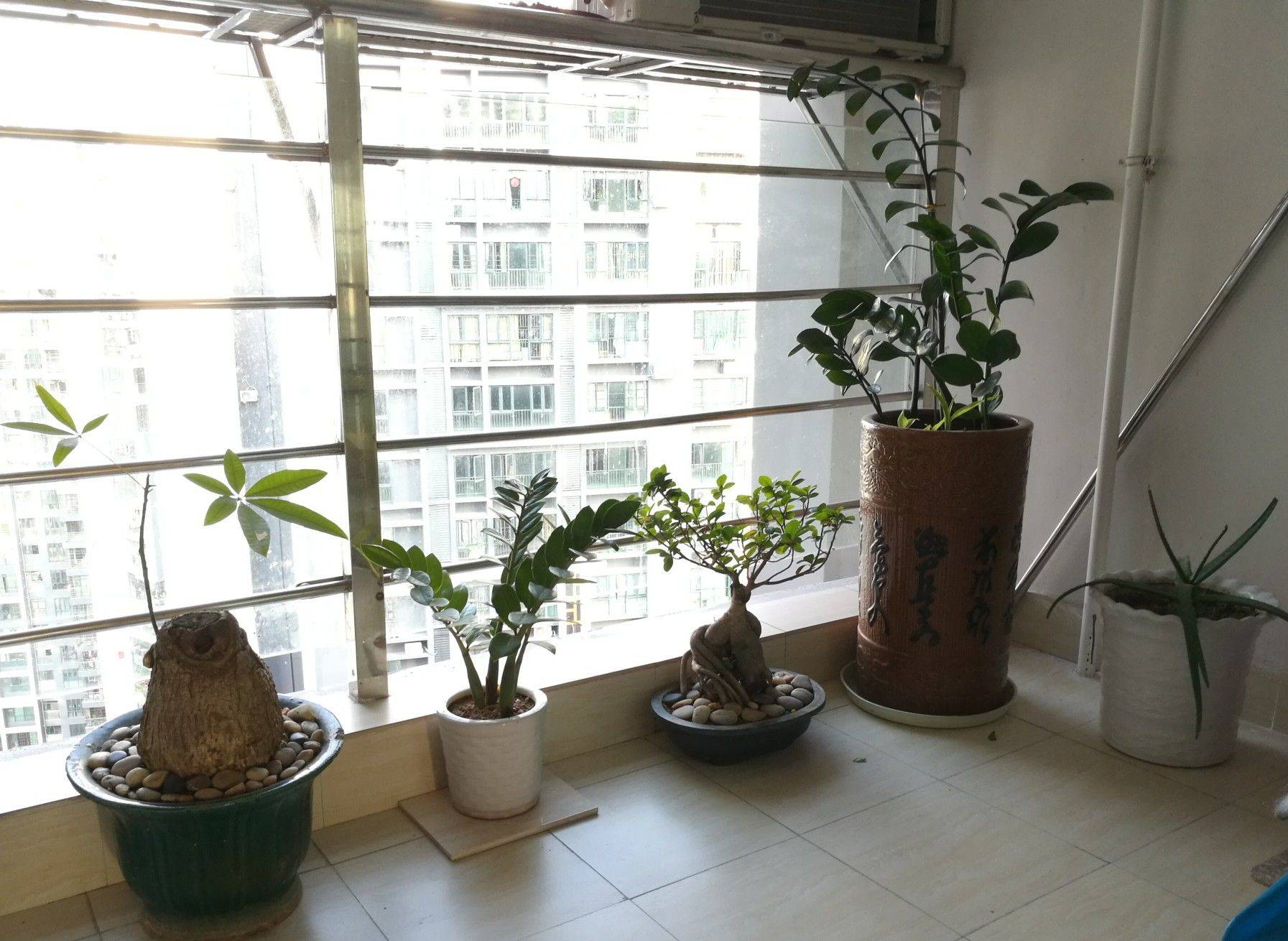 Shenzhen-Guangming-Cozy Home,Clean&Comfy,No Gender Limit,Chilled
