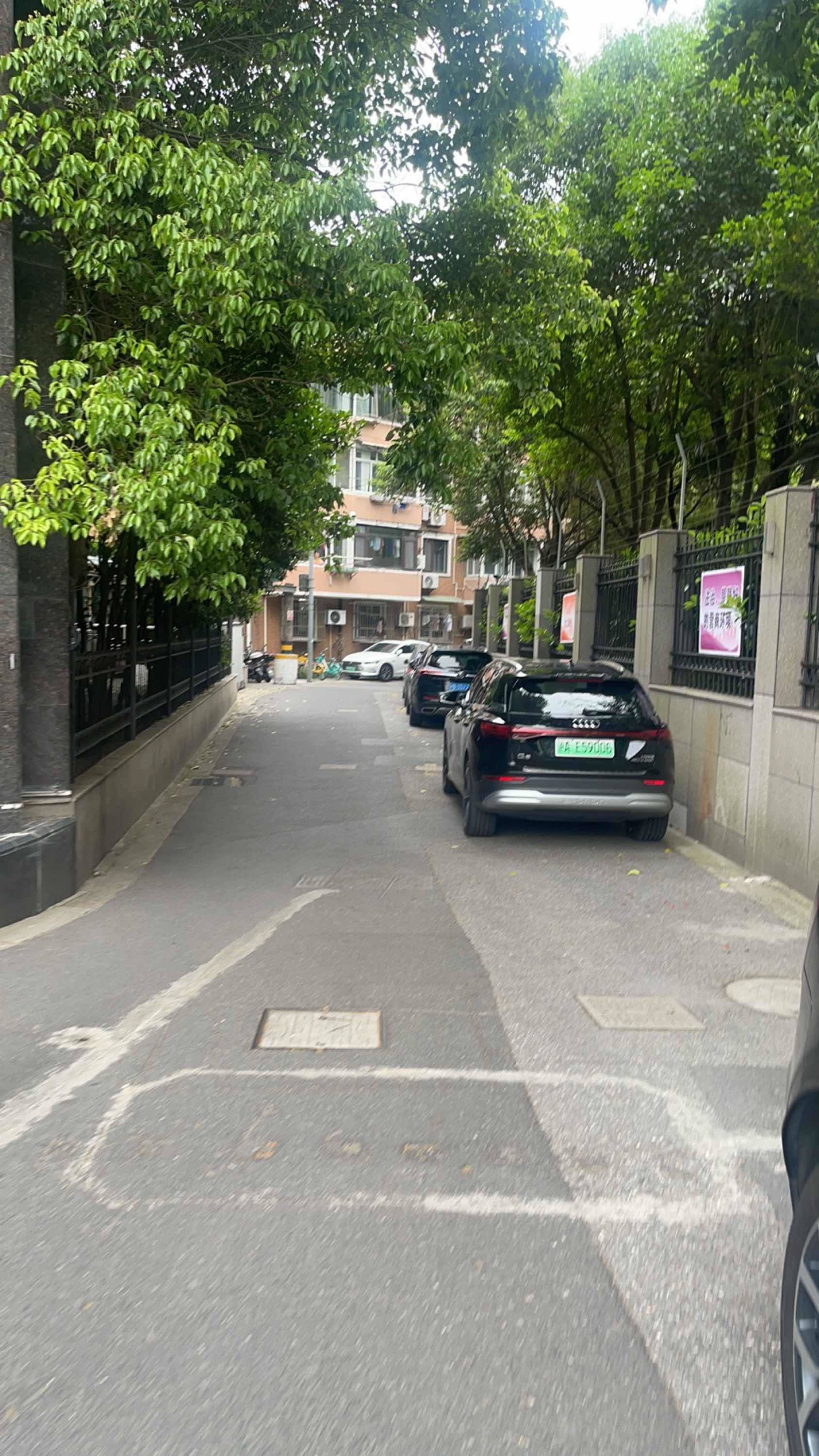 Shanghai-Jing‘An-Cozy Home,No Gender Limit,Hustle & Bustle,Pet Friendly