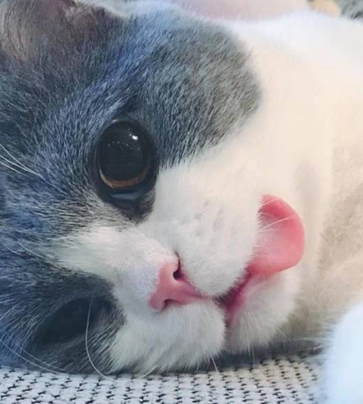 媛曦