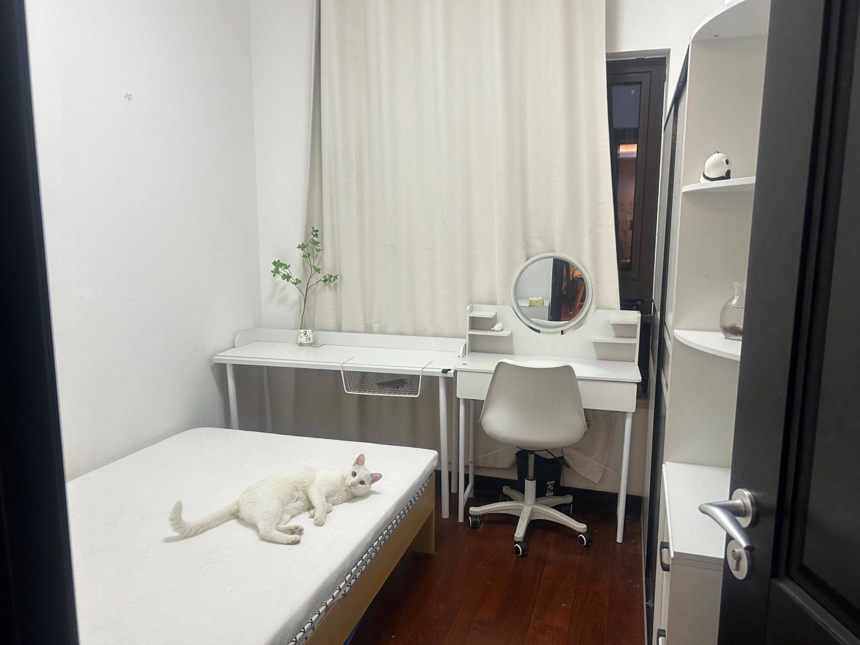 Chengdu-Shuangliu-骑龙,民乐,天府五街,天府四街,天府三街,银泰城,大源,天府软件园