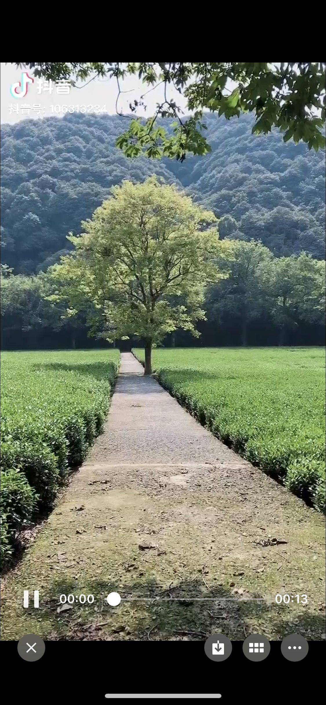 李先生
