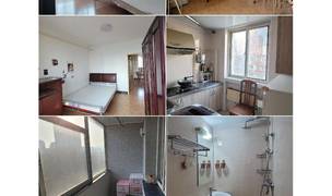 Beijing-Chaoyang-👯‍♀️,Shared Apartment,Pet Friendly,Long & Short Term