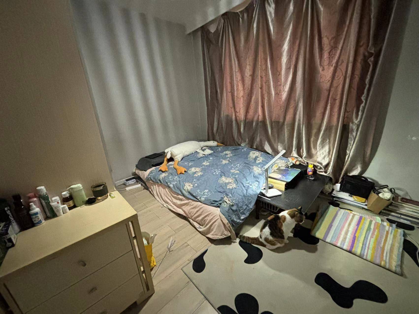 Chengdu-Wuhou-Cozy Home,Clean&Comfy,No Gender Limit
