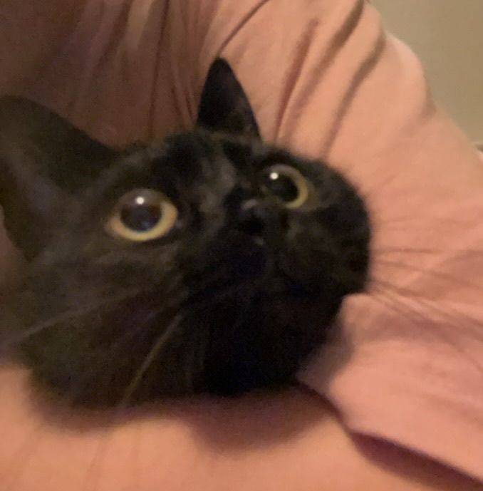 Miss JUJU