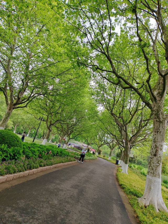 飞飞