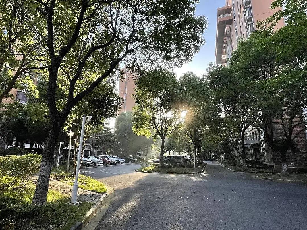 Shanghai-Xuhui-Cozy Home,Clean&Comfy,No Gender Limit,Hustle & Bustle,“Friends”,Chilled,LGBTQ Friendly