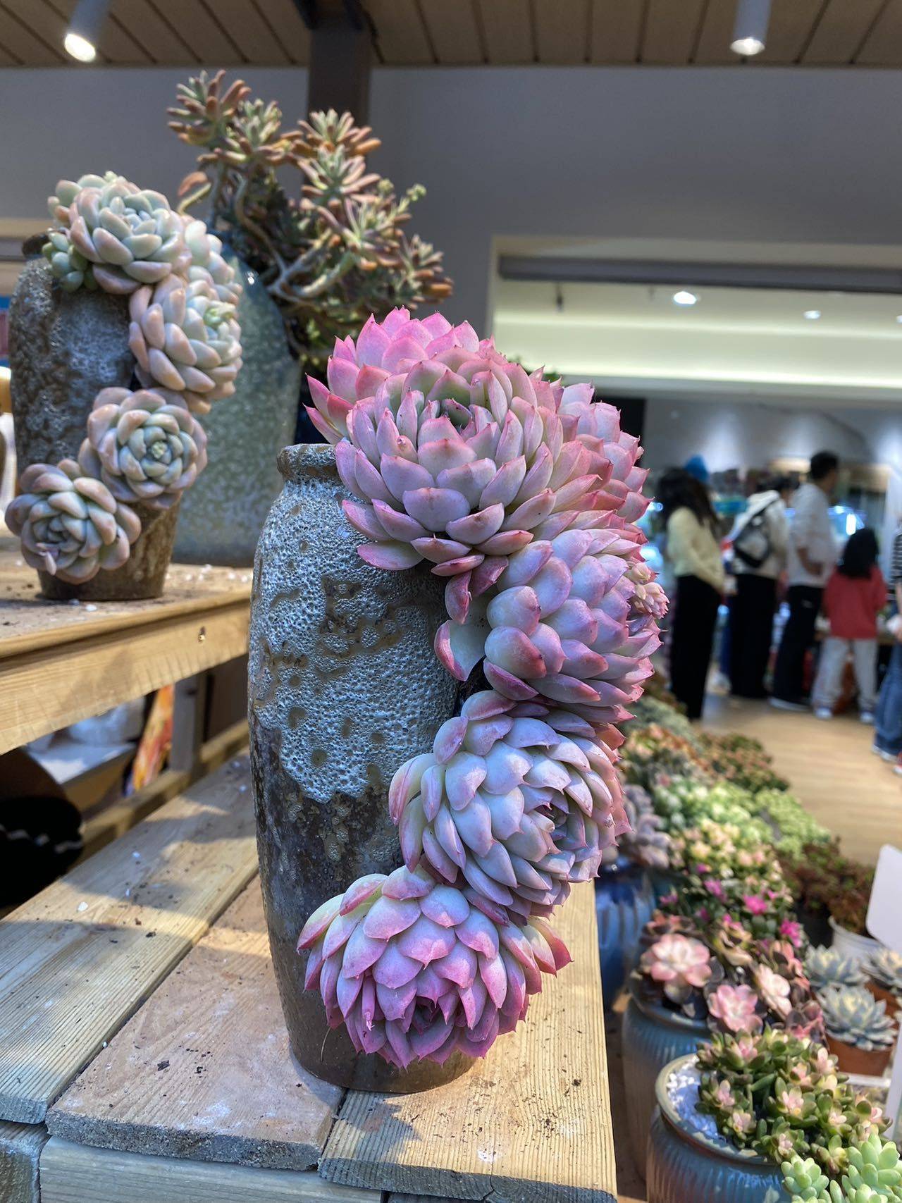 小桃妈